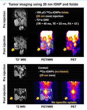 Poster- Initial in vivo imaging studies using a multi-parametric simultaneous PER:MRI